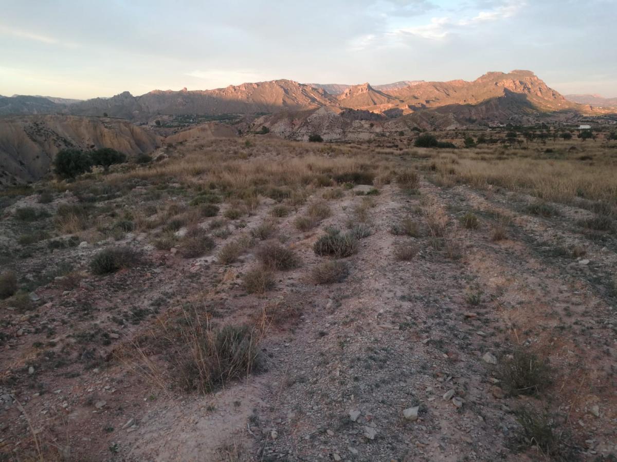 18-10-2019_IMG-20191017-WA0071 - copia.jpg